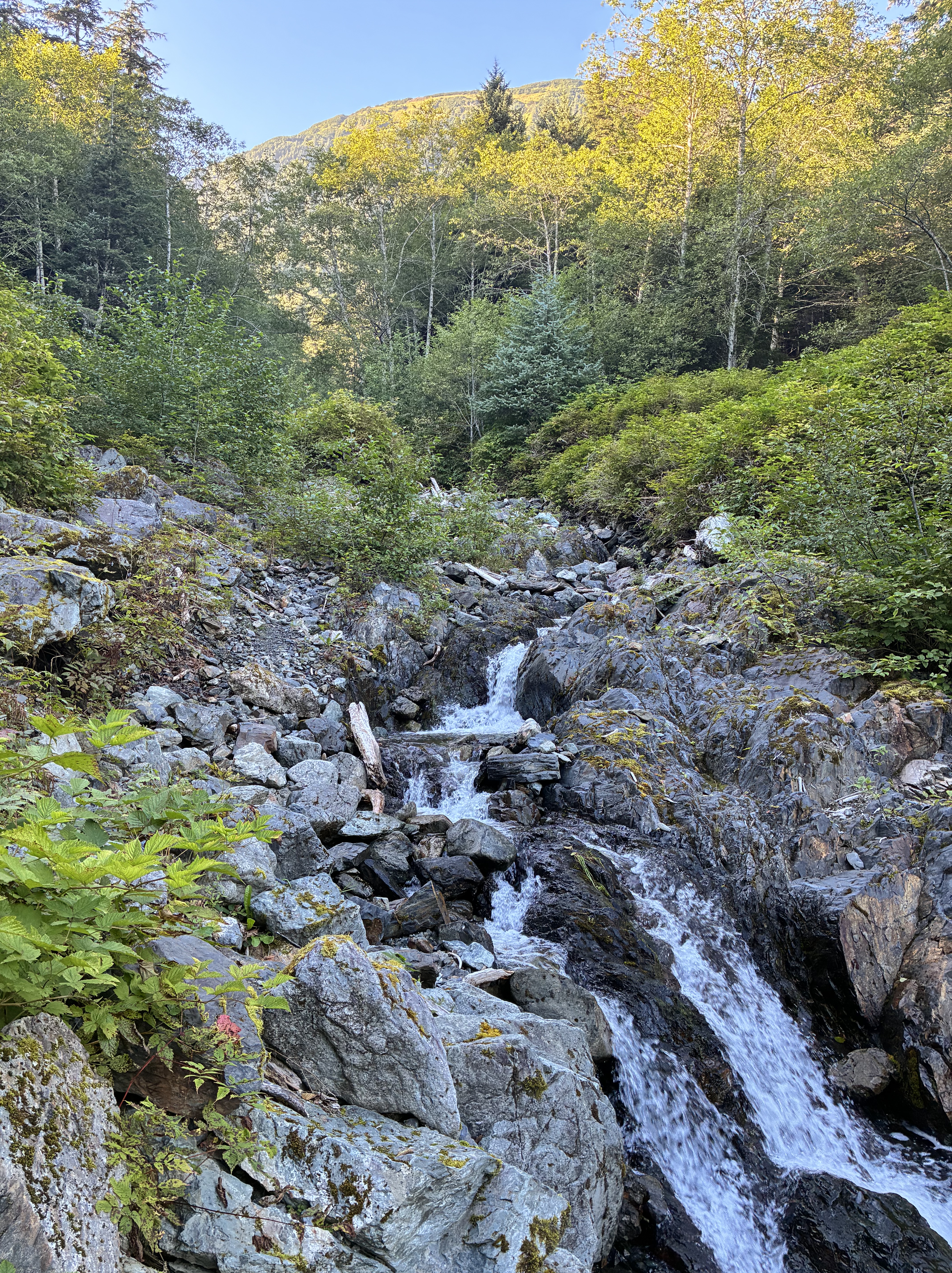 Rocky stream and waterfall